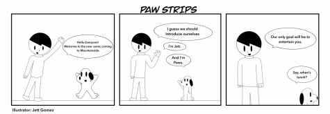 Introduction to Paw Strips