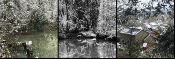 A dusting of snow in the Portland Metro Area - 2/25/1997