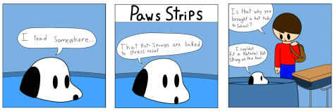 New paws strips