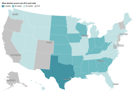 Abortion statistics